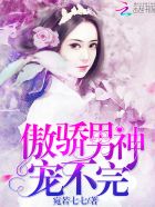 傲娇男神宠入怀