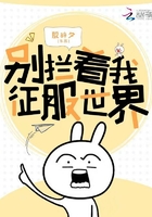 别拦着我征服世界 小说